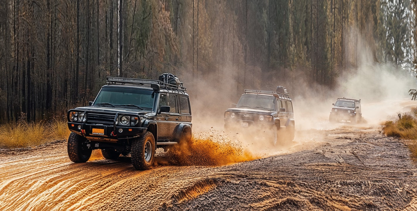 نظام المحمول ذو البطارية المزدوجة