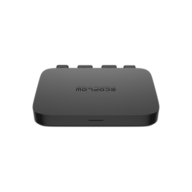 EcoFlow 800W Alternator Charger